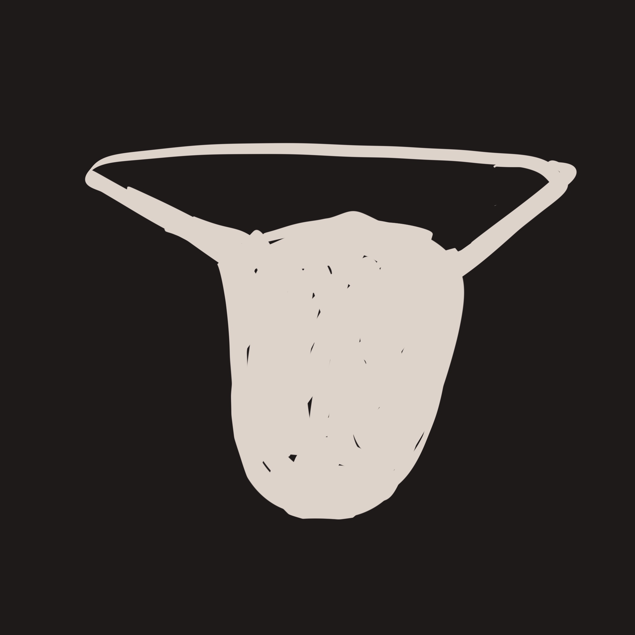 今天是端午节，我以为你会出粽子相关的题目，结果你除了毫不相干的主题。
       于是我结合了一下画了‘咸蛋黄粽子丁字裤版’。
       你说这条裤子很危险，一旦找到，就会触发‘老公欲火焚身’的诅咒。🥵