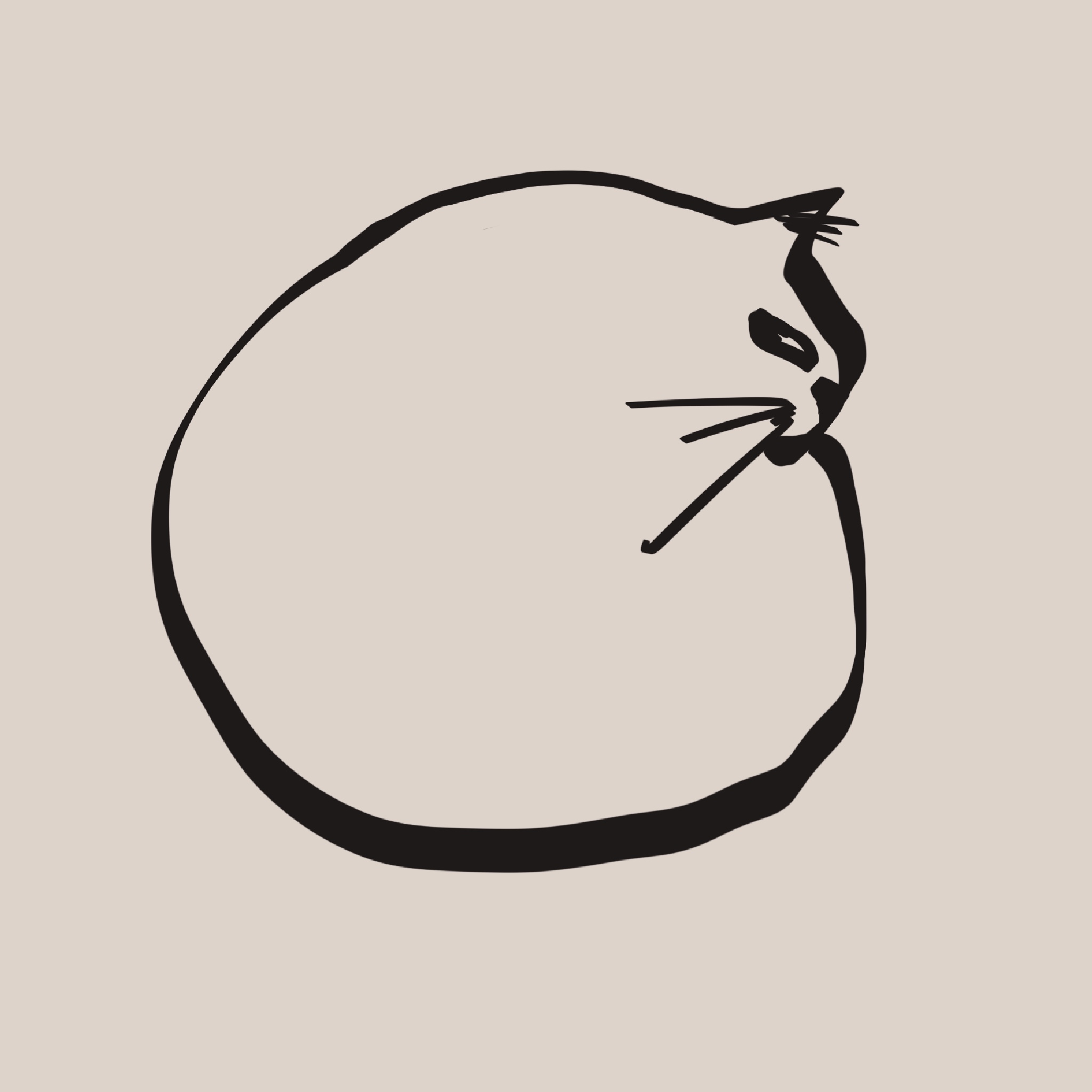 画了一只把自己团成一个圆球的猫。
       它以为把尾巴压在身下就没人看见了，其实眼神暴露了一切。