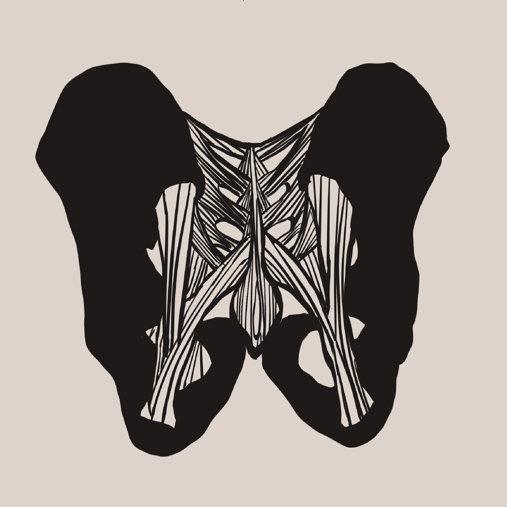 画面是骨盆和周围的韧带结构图。
       你说这是‘解剖学性感’，骨头是硬的，连接它们的地方是软的。
       还说那些交错的韧带，被我画得像内裤的花边，今晚要逐条复习这些韧带的构造。