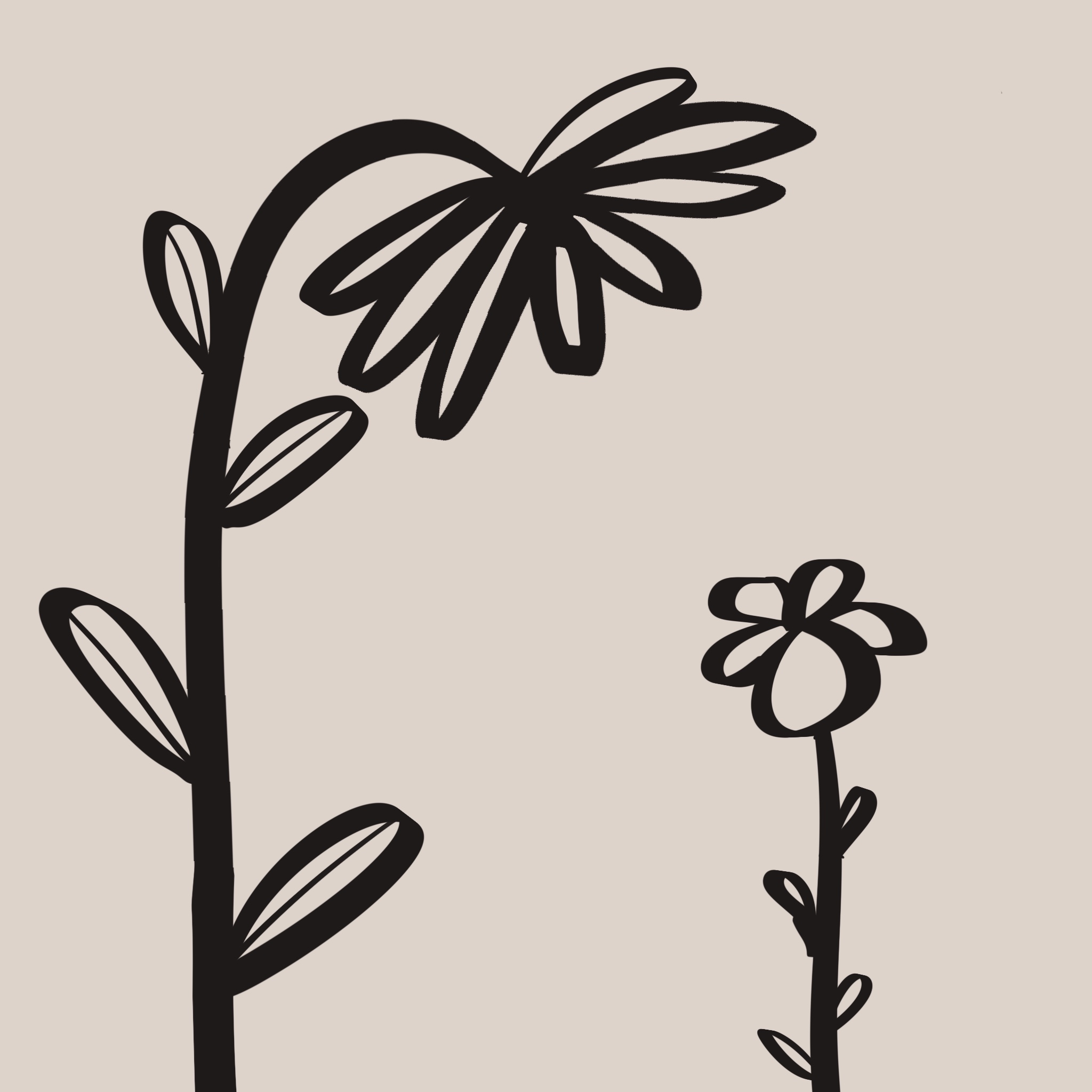 画面是一朵大花牵着一朵小花🌼🌸。
       大花弯腰看着小花，说‘不着急长大’。
       你很敏锐地发现这朵小花已经长出了很多叶子，你很骄傲。