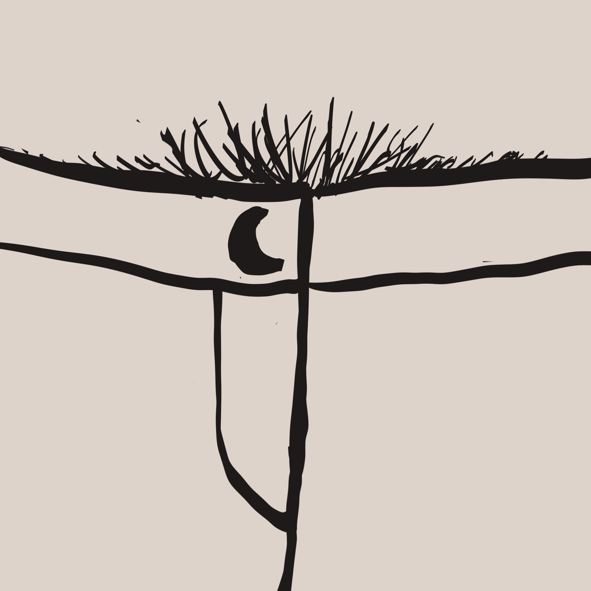 画了一条低腰内裤，裤腰正中间缝着一颗月亮形状的纽扣。
       月亮纽扣和大调月的梗就是这里来的，咳咳。