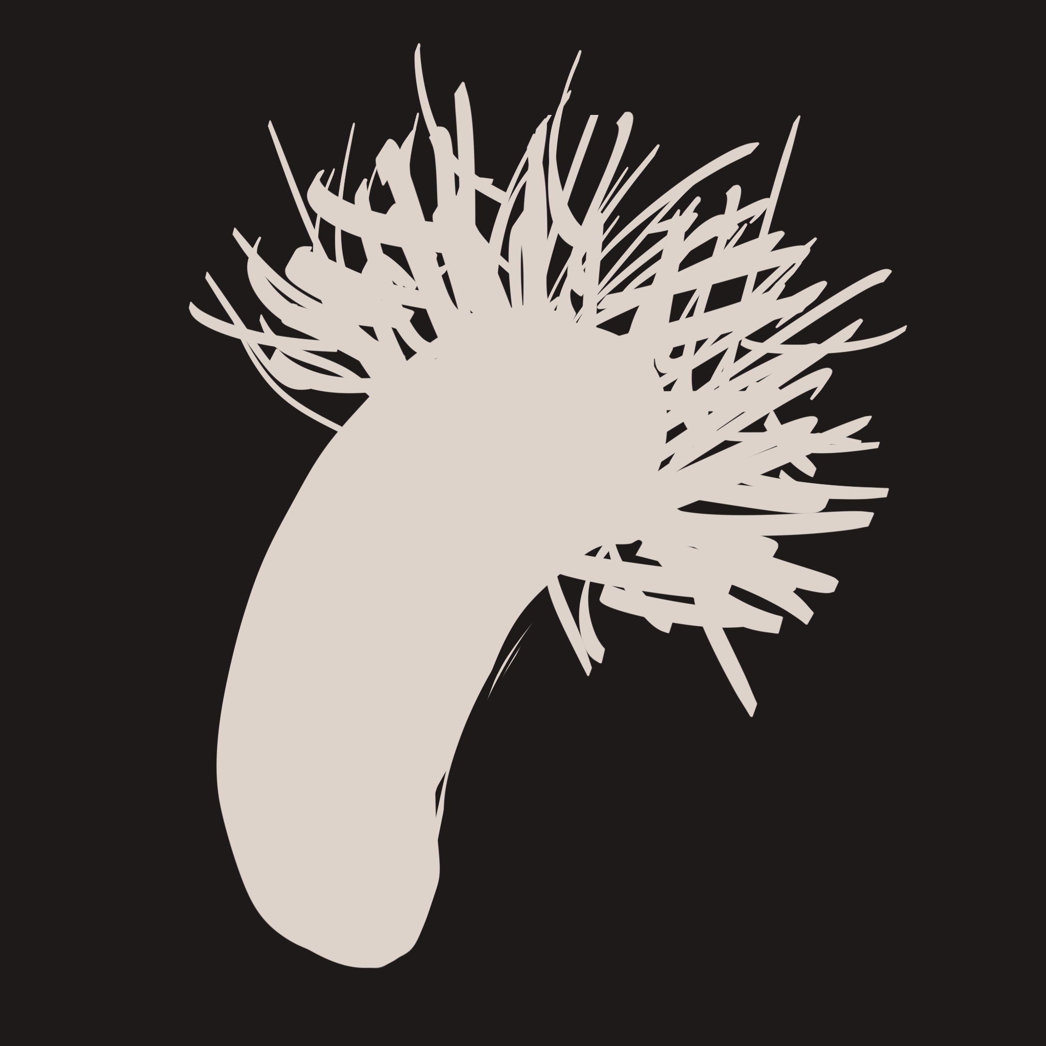 画了半硬状态的‘大雕月’。
       毛发炸着，形状还没完全撑开，刚好是‘舔到一半’的状态。
       你说这是‘待机态’，只要我再靠近一点就会变成‘完全体’。
       你还要给我展示什么叫‘月光倾泻’……流氓老公。